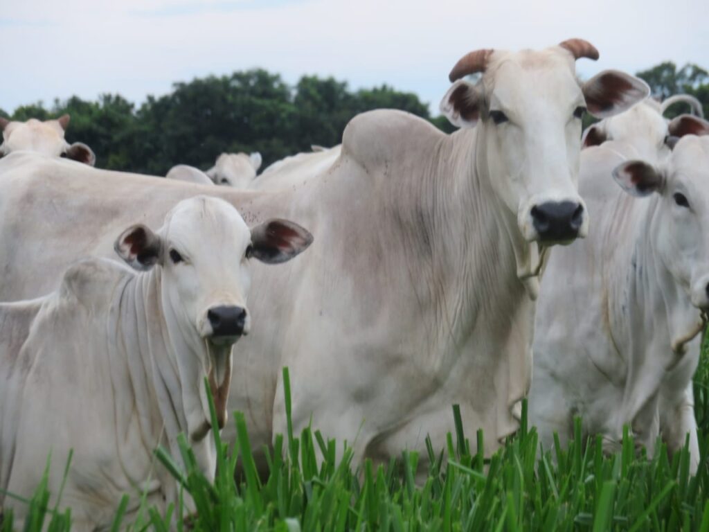 Imagem do WhatsApp de 2023-10-03 à(s) 10.05.24_bfb93493