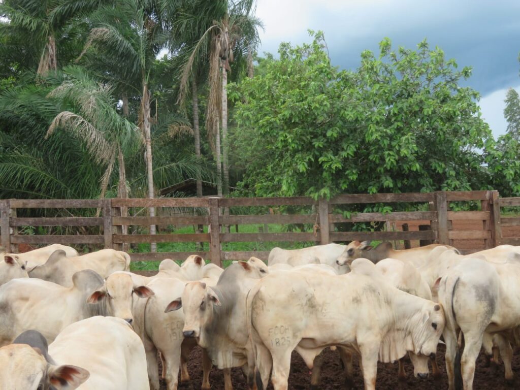 Imagem do WhatsApp de 2023-10-03 à(s) 10.05.27_53005a64