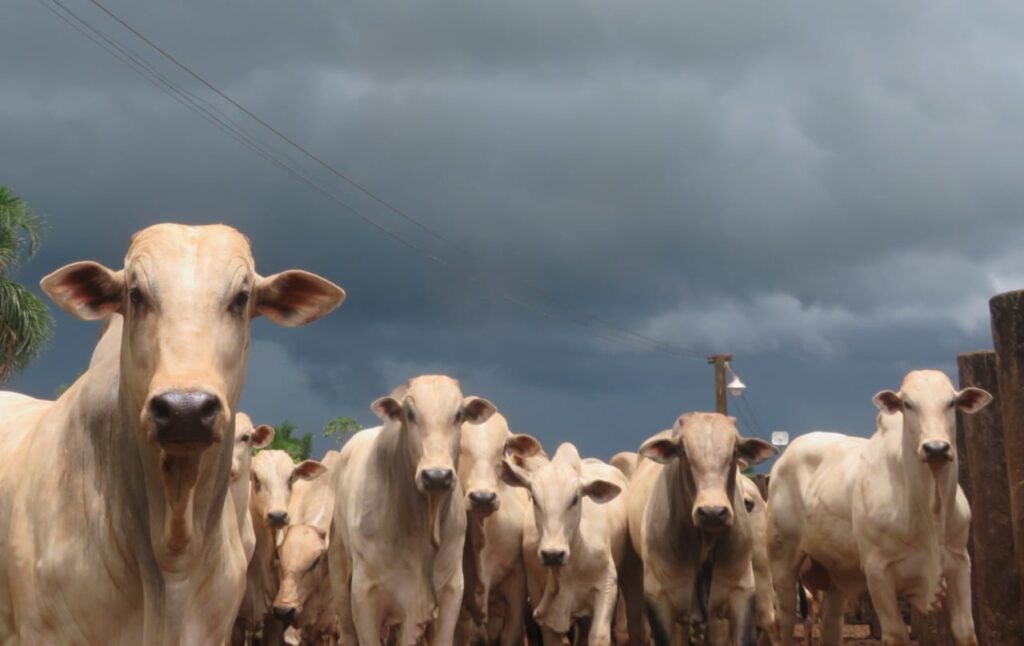 Imagem do WhatsApp de 2023-10-03 à(s) 10.05.28_82da2d6f