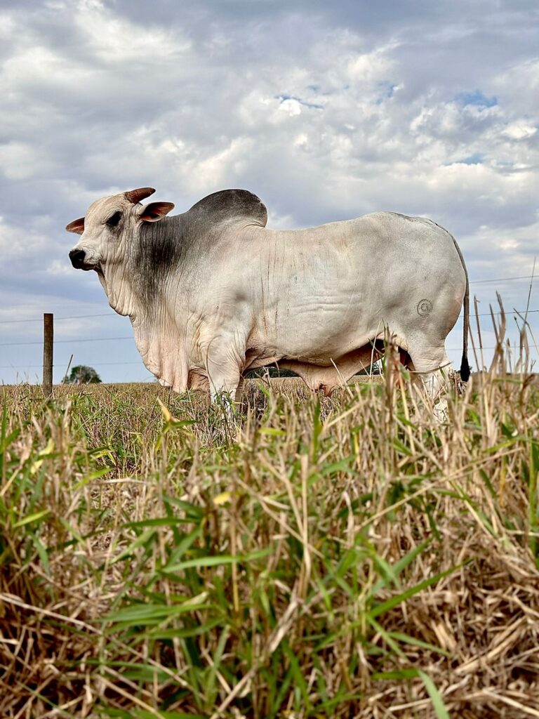 Imagem do WhatsApp de 2023-10-03 à(s) 10.12.44_1f162f25