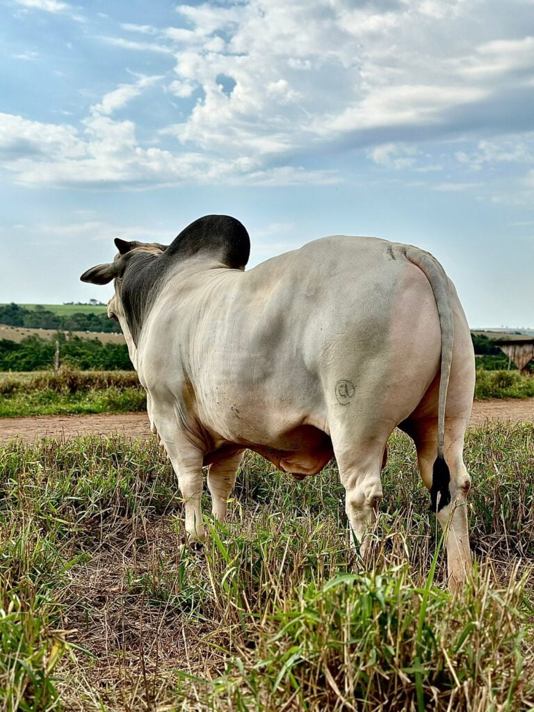 Imagem do WhatsApp de 2023-10-03 à(s) 10.12.44_cf394371