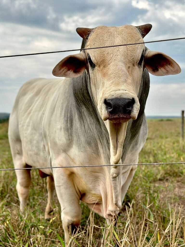 Imagem do WhatsApp de 2023-10-03 à(s) 10.12.45_7d8406f8