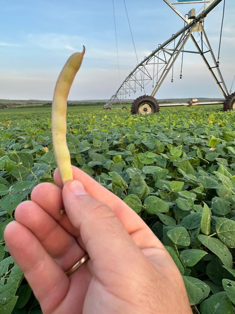 Imagem do WhatsApp de 2023-10-03 à(s) 10.12.46_eca8040e