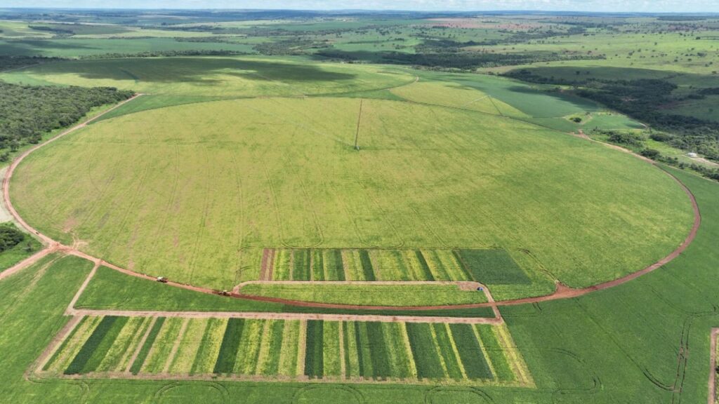 Imagem do WhatsApp de 2023-10-03 à(s) 10.12.53_22efae93