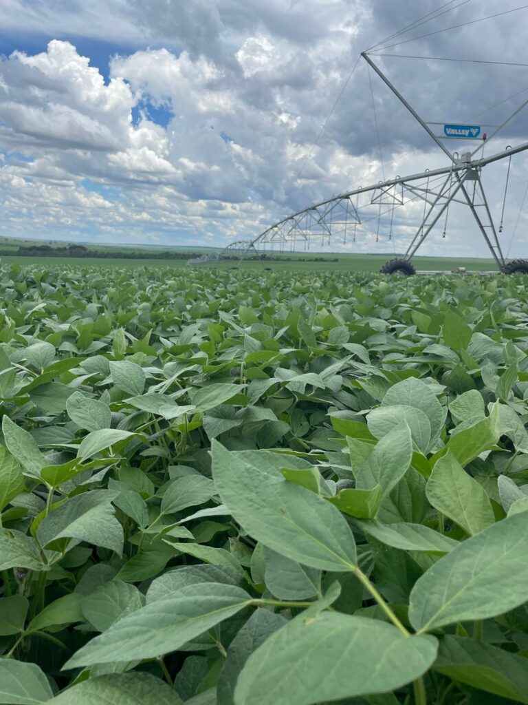 Imagem do WhatsApp de 2023-10-03 à(s) 10.13.32_84b589fd