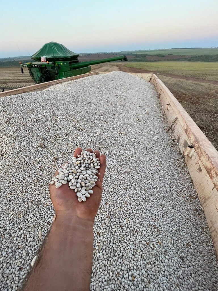 Imagem do WhatsApp de 2023-10-03 à(s) 10.23.18_5c4fb30b