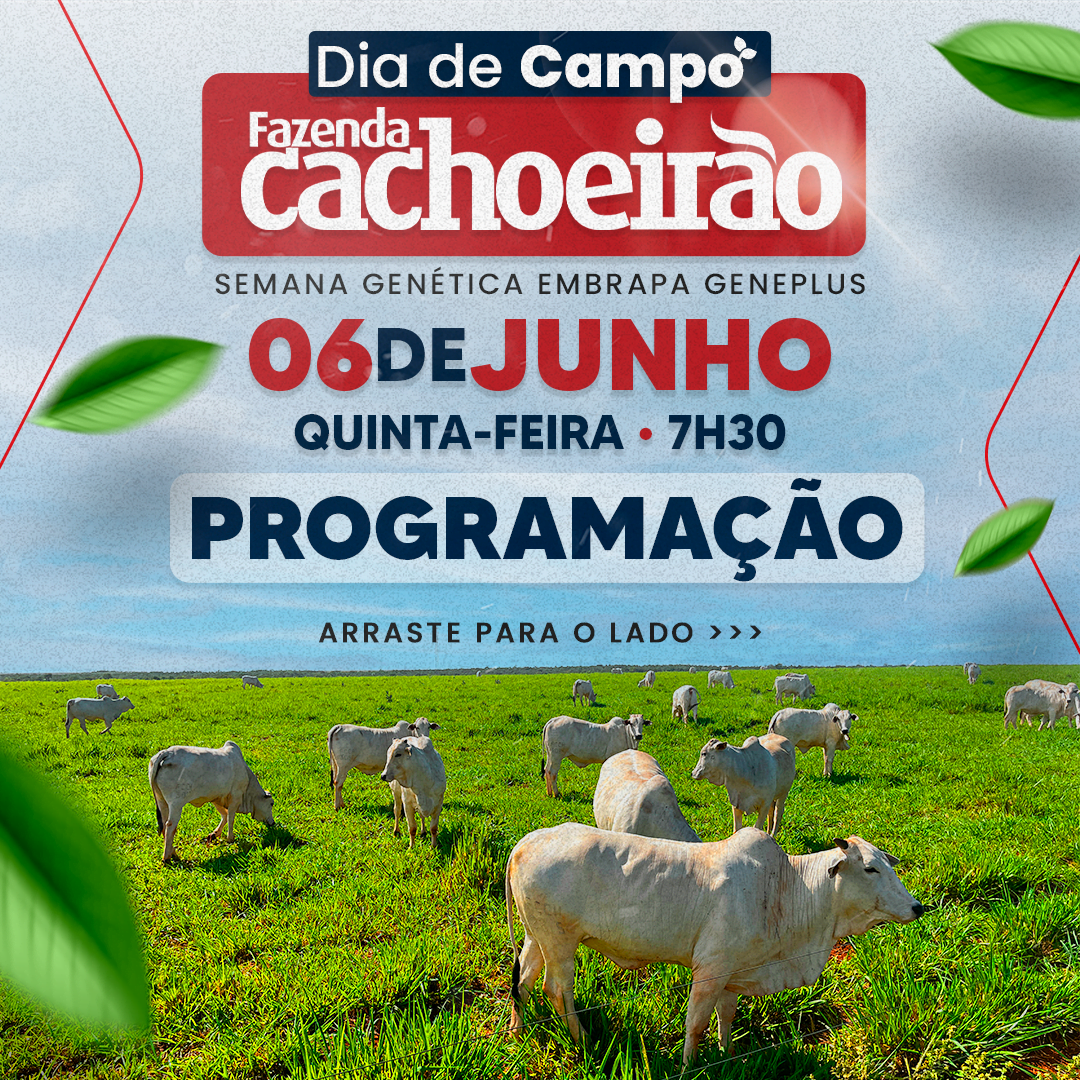 PROGRAMAÇÃO-1