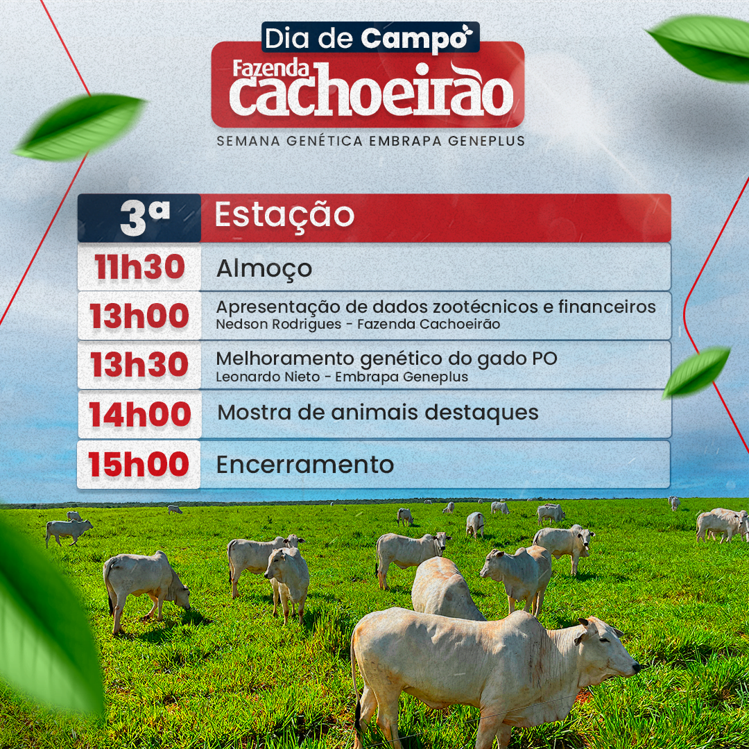 PROGRAMAÇÃO-4